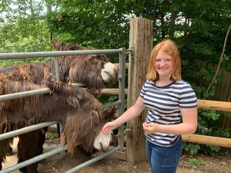 zoo BOUILLON